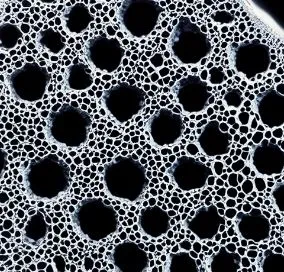 Agglomerated Activated Carbon