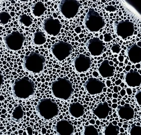 Carbono ativado aglomerado